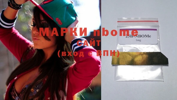молекула духа Лабытнанги