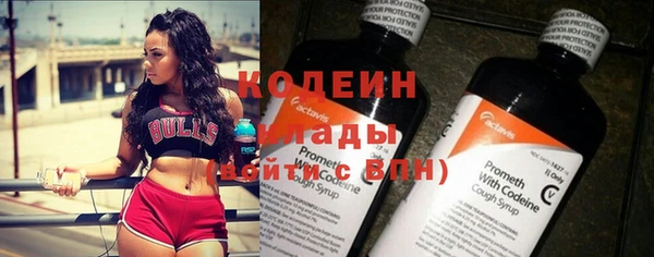 молекула духа Лабытнанги