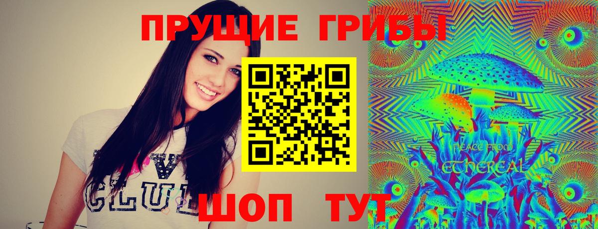 Галлюциногенные грибы Cubensis  Псилоцибиновые грибы MAGIC MUSHROOMS  Чапаевск 