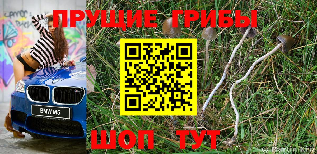 Псилоцибиновые грибы MAGIC MUSHROOMS Чапаевск