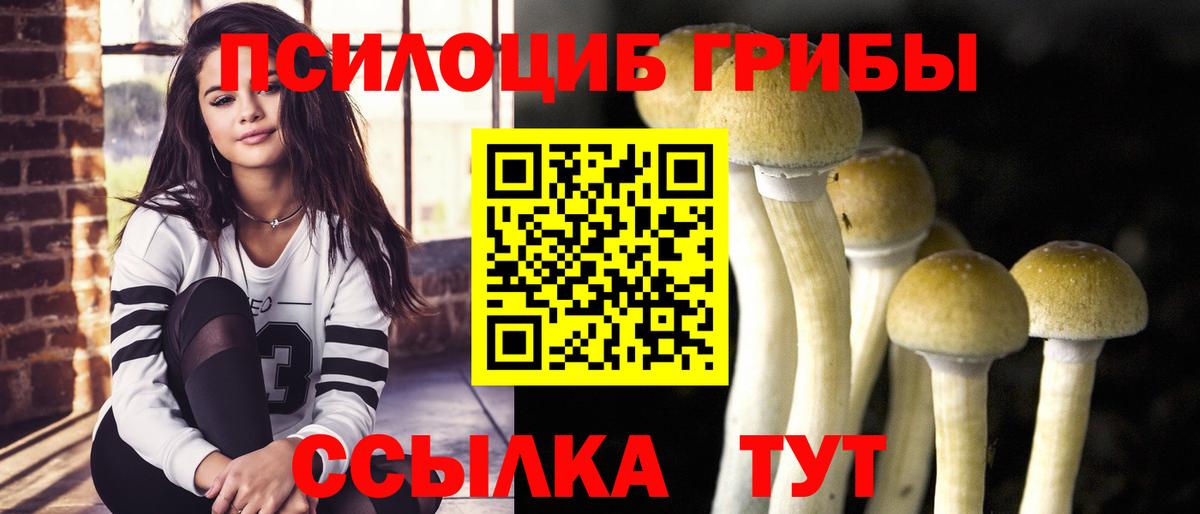 Галлюциногенные грибы прущие грибы  Вход с VPN  Галлюциногенные грибы MAGIC MUSHROOMS  Чапаевск 